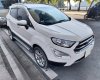 Ford EcoSport 2018 - Xe gia đình sử dụng rất kĩ, da ghế mới nguyên do bọc áo ghế và vệ sinh thường xuyên