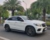 Mercedes-Benz GLE 43 2019 - Cần bán lại xe