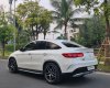 Mercedes-Benz GLE 43 2019 - Cần bán lại xe