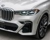 BMW X7 2020 - Cá nhân đi cực ít rất giữ gìn