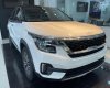 Kia Seltos 2022 - Ưu đãi hấp dẫn cuối năm - Sẵn xe giao ngay, giảm tiền mặt, tặng phụ kiện