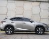 Lexus NX 300 2020 - Bán xe màu bạc