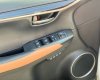 Lexus NX 300 2019 - Màu trắng, nhập khẩu nguyên chiếc