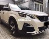 Peugeot 3008  xe nhà ít sử dụng.còn bảo hành hãng 2019 - peugeot3008 xe nhà ít sử dụng.còn bảo hành hãng