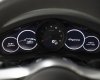 Porsche Cayenne 2020 - Bán xe màu trắng