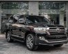 Toyota Land Cruiser 2018 - Nhập Trung Đông, phiên bản đầy đủ phụ kiện