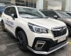 Subaru Forester 2020 - Tập đoàn Tanchong (đơn vị phân phối Subaru) thanh lý xe Forester 2020
