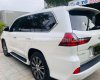 Lexus LX 570 2020 - Xe cực chất