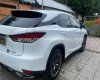 Lexus RX 300 2021 - Đăng ký 1/2022