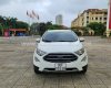 Ford EcoSport 2019 - Xe đẹp xuất sắc