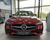 Mercedes-Benz C200 C200 Avantgarde 2022 - Bán xe Mercedes-Benz C200 Avantgarde sản xuất 2022, màu đỏ siêu lướt