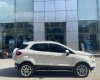 Ford EcoSport 2018 - Chính chủ