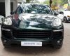 Porsche Cayenne 2015 - Nhập khẩu nguyên chiếc