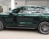 Porsche Cayenne 2015 - Nhập khẩu nguyên chiếc