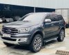Ford Everest 2019 - Xe màu xám