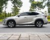 Lexus NX 300 2020 - Cần bán xe odo 1,9 vạn km