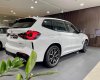 BMW X3 2023 - Chương trình đặc biệt BMW X3 30i M Sport LCI