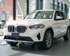 BMW X3 2023 - Ưu đãi hấp dẫn trong tháng, nhiều quà tặng đặc biệt