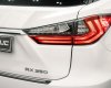 Lexus RX 350 2017 - Biển thành phố Hà Nội
