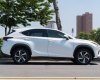 Lexus NX 300 2017 - Xe màu trắng