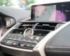 Lexus NX 300 2020 - Xe màu bạc