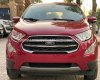 Ford EcoSport 2019 - Màu đỏ, giá hữu nghị