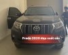 Toyota Land Cruiser Prado 2020 - Xe nhập, giá tốt 2 tỷ 480tr