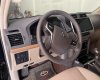 Toyota Land Cruiser Prado 2020 - Xe nhập, giá tốt 2 tỷ 480tr