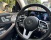 Mercedes-Benz GLS 450 2020 - Xe 1 chủ từ đầu,  chủ đi giữ gìn