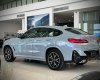BMW X4 2022 - Hót, ưu đãi cực tốt tại Bình Dương