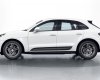 Porsche 2022 - Mới 100%