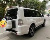 Mitsubishi Pajero 2009 - Bán xe đăng ký 2009 nhập khẩu giá 288tr