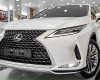 Lexus RX 300 2022 - Xe đẹp, bao check hãng toàn quốc