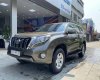 Toyota Land Cruiser Prado 2013 - Nhập khẩu nguyên chiếc