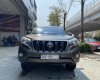 Toyota Land Cruiser Prado 2013 - Nhập khẩu nguyên chiếc