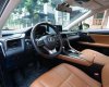 Lexus RX 300 2019 - Hỗ trợ trả góp tại các ngân hàng uy tín