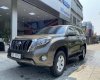 Toyota Land Cruiser Prado 2013 - Nhập khẩu nguyên chiếc