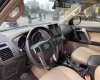 Toyota Land Cruiser Prado 2010 - Màu đen, nhập khẩu nguyên chiếc