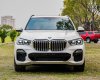 BMW X5 2021 - Xe mới, nội thất nâu da bò sang trọng