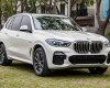 BMW X5 2021 - Xe mới, nội thất nâu da bò sang trọng