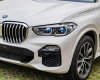 BMW X5 2021 - Xe mới, nội thất nâu da bò sang trọng