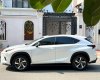 Lexus NX 300 2019 - Cực đẹp màu trắng