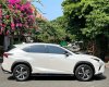 Lexus NX 300 2019 - Cực đẹp màu trắng