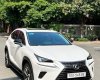 Lexus NX 300 2019 - Cực đẹp màu trắng