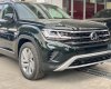 Volkswagen Teramont 2023 - Màu xanh rêu cho khách hàng hợp mệnh Mộc - Bạn đang phân vân màu sắc ở đây có đủ màu cho khách hàng xem thực tế