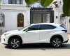 Lexus NX 300 2020 - Nước sơn zin 100% xe gia đình sử dụng ít