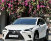 Lexus NX 300 2020 - Nước sơn zin 100% xe gia đình sử dụng ít