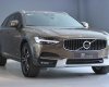 Volvo V90 2018 - Màu nâu, nhập khẩu nguyên chiếc