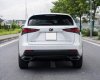 Lexus NX 300 2019 - Xe màu trắng, xe nhập