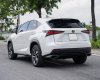 Lexus NX 300 2019 - Xe màu trắng, xe nhập